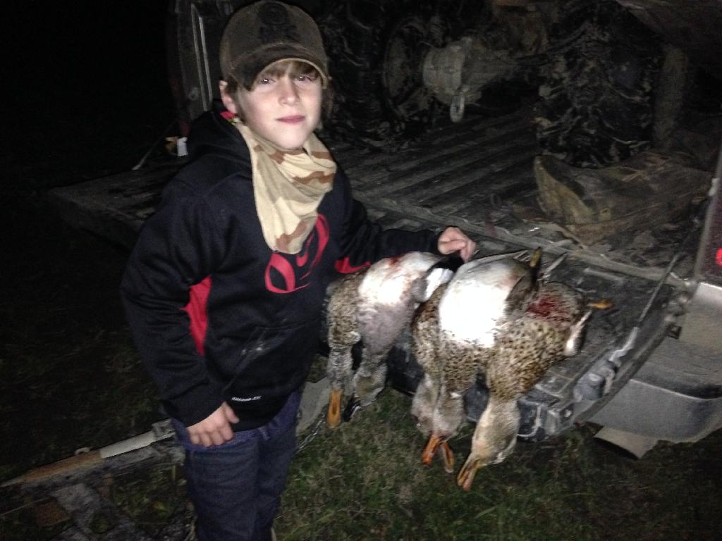 gadwalls gray ducks youth hunting