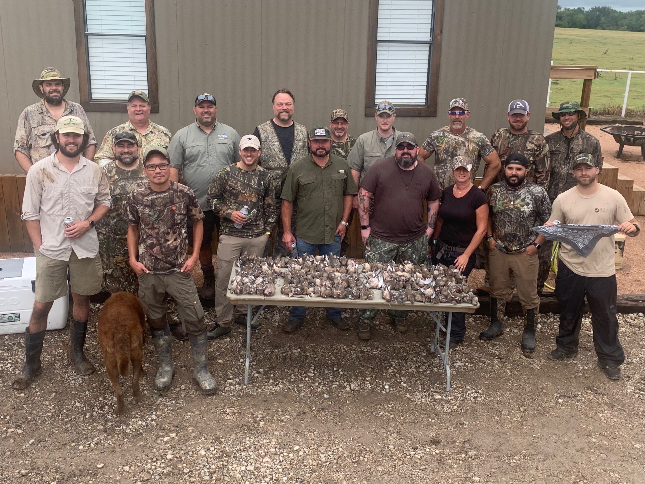 WAX79 Dove Hunting Lease Near Dallas Texas